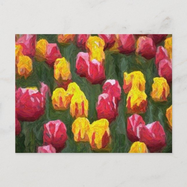 Carte Postale Tulipes de printemps (Devant)