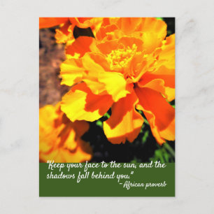 Carte Postale Tulipes Orange Clair Citation Inspirante