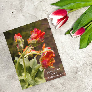 Carte Postale Tulipes Orange Perroquet Pensée Pour Vous