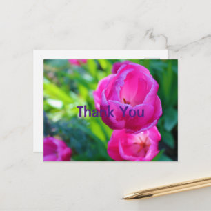 Carte Postale Tulipes roses