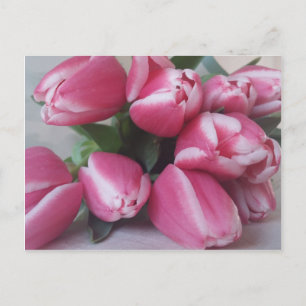 Carte Postale Tulipes roses