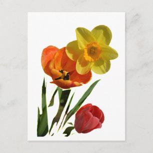 Carte Postale Tulipes rouges et fleurs de jonquille jaunes