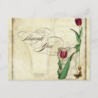 Tulipes vintages Angel ailes tourbillon Thé taché