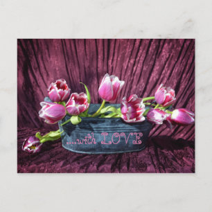 Carte Postale Tulpen für Dich ...