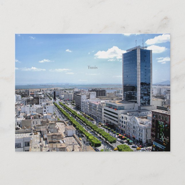 Carte Postale Tunis, photo du paysage (Devant)