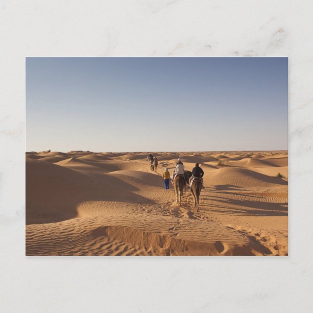 Carte Postale Tunisie, Ksour Area, Ksar Ghilane, Grand Erg 7 (Devant)