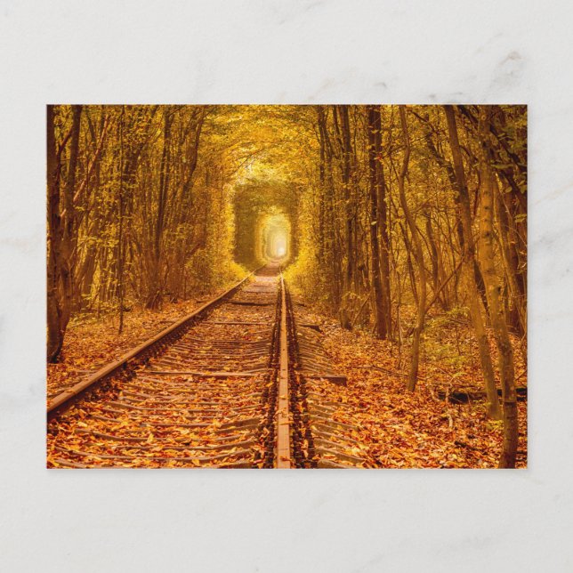 Carte Postale Tunnel ferroviaire de la forêt d'Ukraine Amour Pay (Devant)