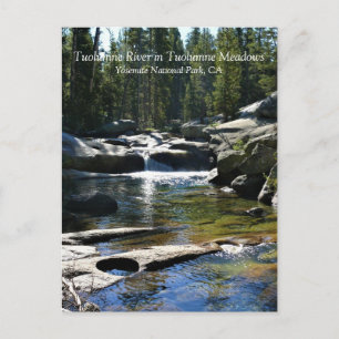Carte Postale Tuolumne River à Tuolumne Meadows, Yosemite, CA P