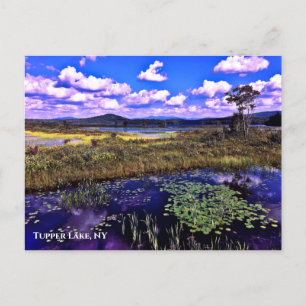 Carte postale - Tupper Lake NY