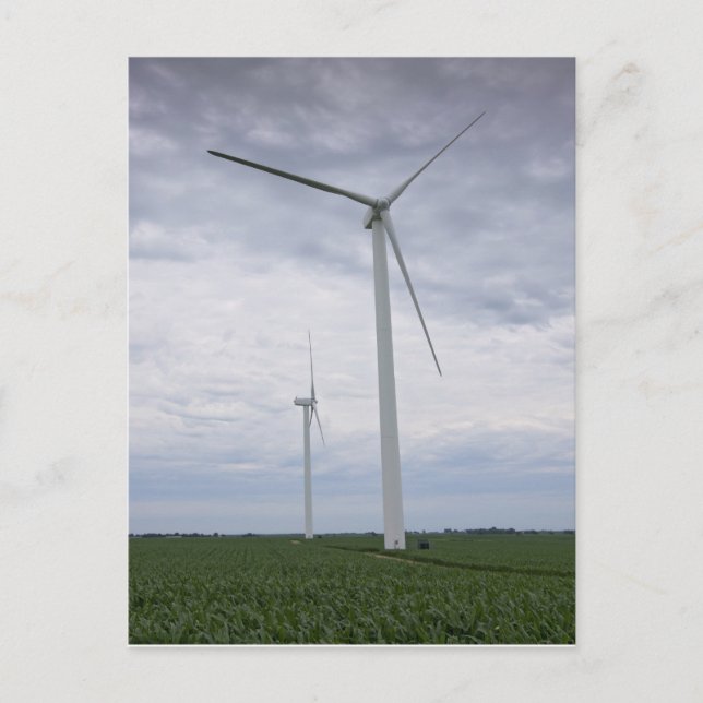 Carte Postale Turbines éoliennes à Cornfield (Devant)