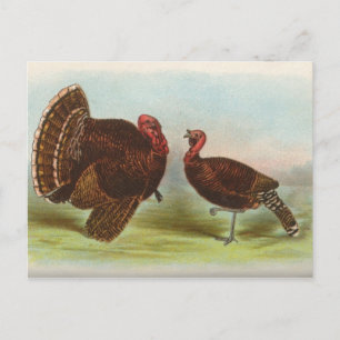 Carte Postale Turclés en bronze