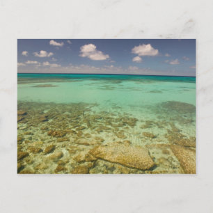 Carte Postale Turks and Caicos, Grand Turk Island, Cockburn 2