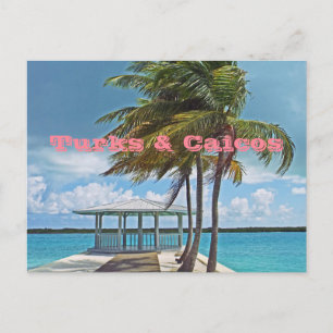 carte postale, TURKS & CAICOS ISLANDS/PALMIER, PIE