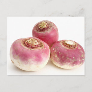 Carte Postale Turnips