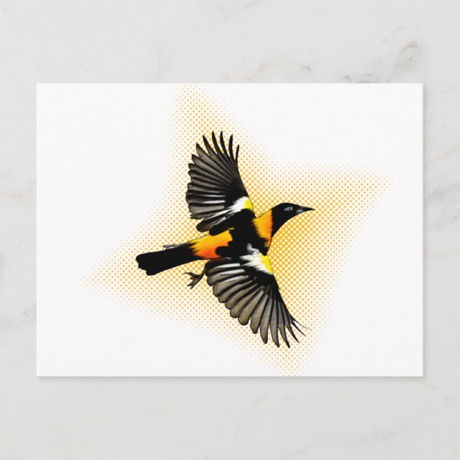 Carte Postale Turpial (Devant)