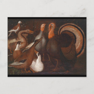 Carte postale Turquie Canards Pigeon Thanksgiving