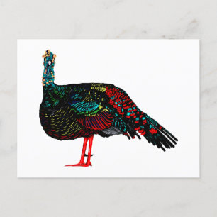 Carte Postale Turquie isolée