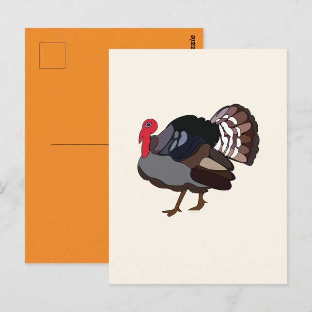 Carte Postale Turquie Oiseau Turquie (Devant / Derrière)