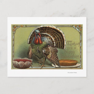 Carte Postale Turquie par Punch and Pie