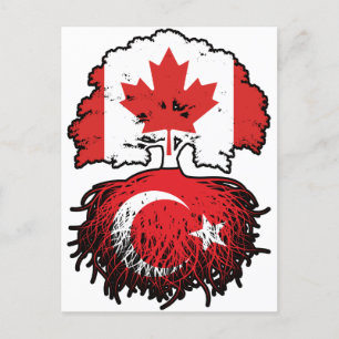 Carte Postale Turquie Turc Drapeau canadien des racines d'arbre