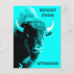 Carte Postale Turquoise Bleu Buffle Bison Comment allez-vous de