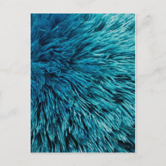 Carte Postale Turquoise riche