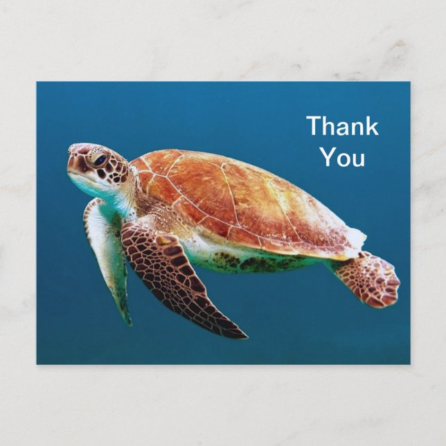 Carte Postale Turtle Blue Water Merci photo (Devant)