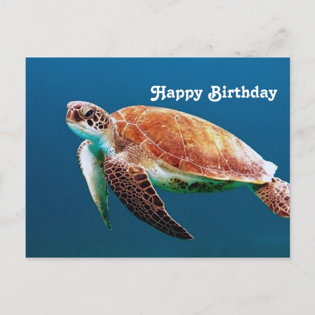 Carte Postale Turtle Blue Water Photo Anniversaire (Devant)