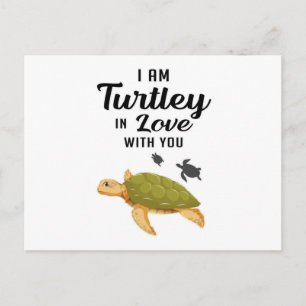 Carte Postale Turtle Sea Turtles