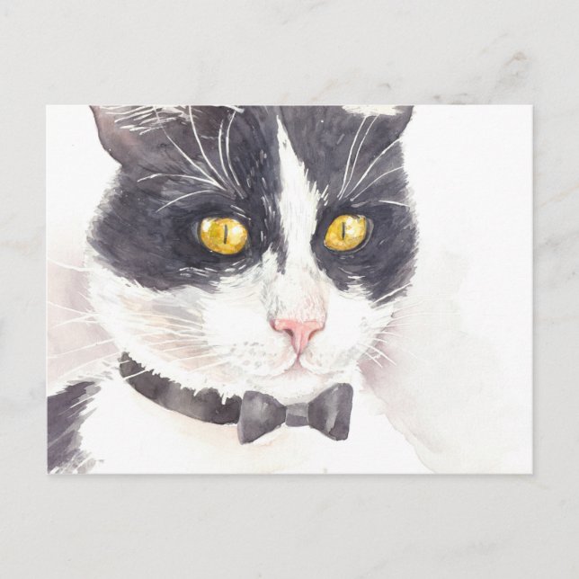 Carte Postale Tuxedo (Devant)