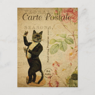 Carte postale Tuxedo
