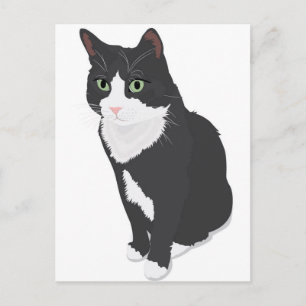 Carte Postale Tuxedo