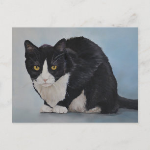 Carte postale Tuxedo Black White