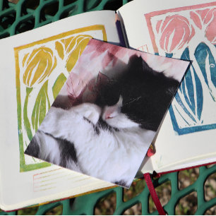 Carte Postale Tuxedo Chat Art Cute Rose Nez Kitty Chats Art