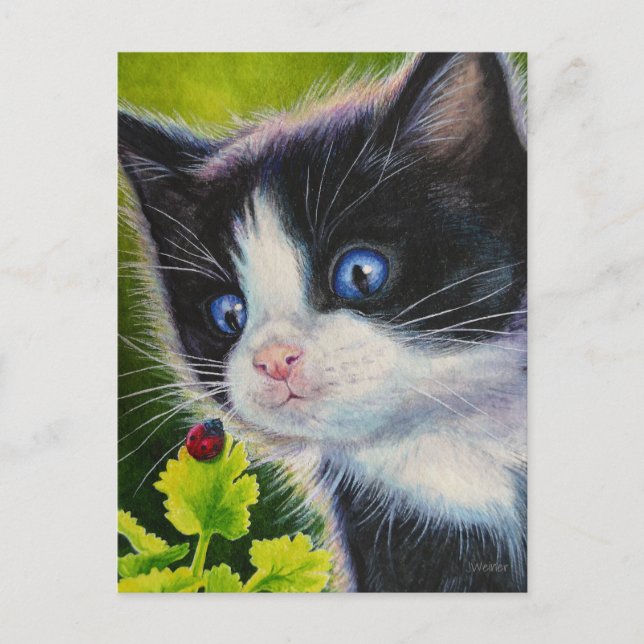 Carte Postale Tuxedo Kitten & Ladybug Watercolor Art (Devant)