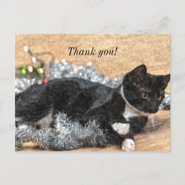 Carte Postale Tuxedo Kitten Tinsel et Lumières Message de Remerc (Devant)