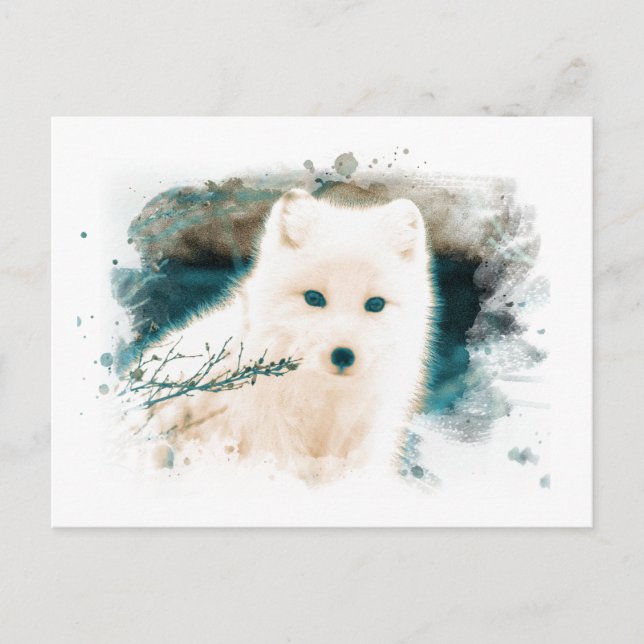 Carte Postale *~* Twig Renard Neige Renard Blanc AP18 Polar Arct (Devant)