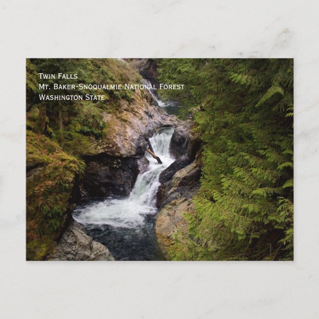 Carte postale Twin Falls (Devant)