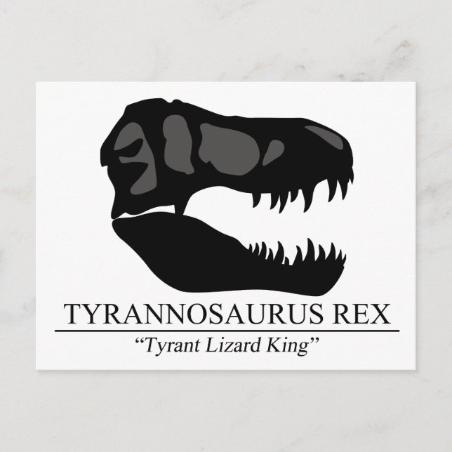 Carte Postale Tyrannosaure Rex (Devant)
