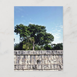 Carte Postale Tzompantli-Mur De Crânes, Chichen Itza