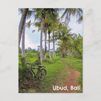 Carte postale Ubud Bali Indonésie rizières rizière