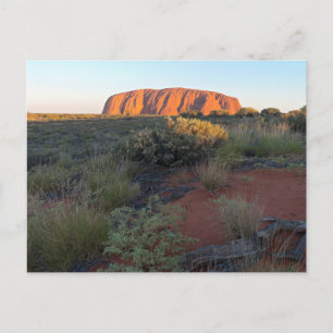 Carte Postale Uluru Sunrise et Flore du désert