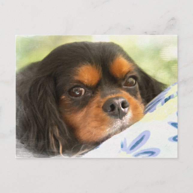Carte Postale Un amour n'aiment aucun autre épagneul cavalier du (Devant)