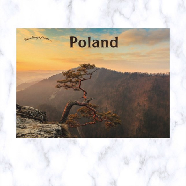 Carte Postale Un arbre à Pieniny Pologne (Créateur téléchargé)