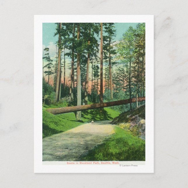 Carte Postale Un arbre tombé sur la scène du parc Woodland (Devant)