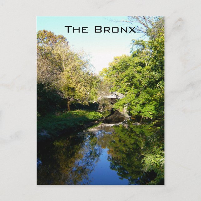 Carte Postale Un autre côté du Bronx (Devant)