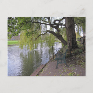 Carte Postale Un banc au bord de la rivière Cam Postcard