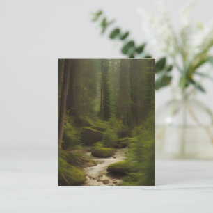 Carte Postale Un Beau Fleuve Forestier