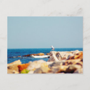 Carte Postale Un billet de Gull