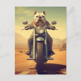 Carte Postale Un Bulldog à cheval sur une moto dans le désert